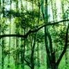 日本大学生物資源科学部森林学科