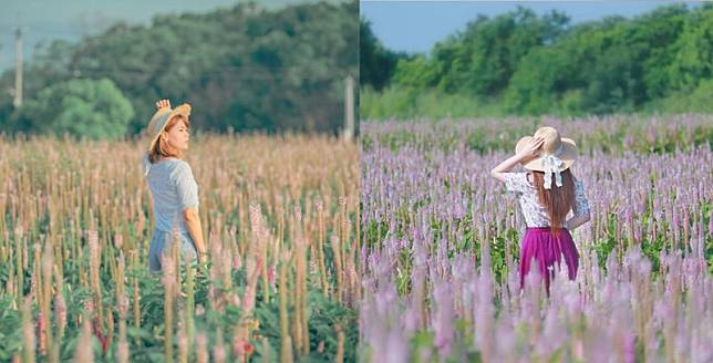 ▲圖片來源：IG@aaa123471、IG@3more_hi4