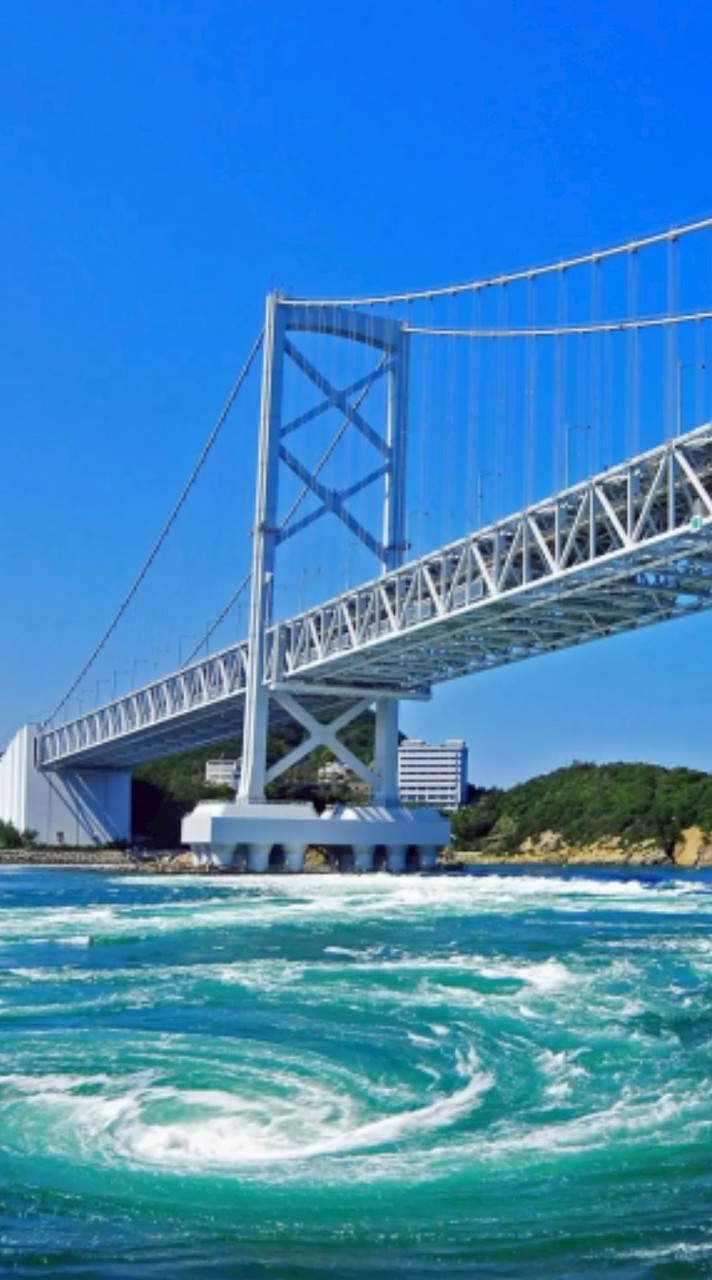 徳島現地参加