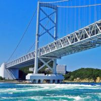 徳島現地参加