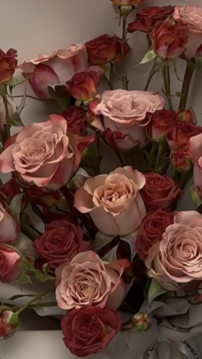 訂青菜/雞蛋*信義庭看聽*