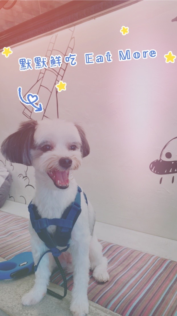 默默鮮吃 𝔼𝕒𝕥 𝕄𝕠𝕣𝕖 🐾