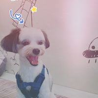默默鮮吃 𝔼𝕒𝕥 𝕄𝕠𝕣𝕖 🐾