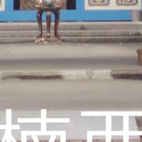我是楠西人