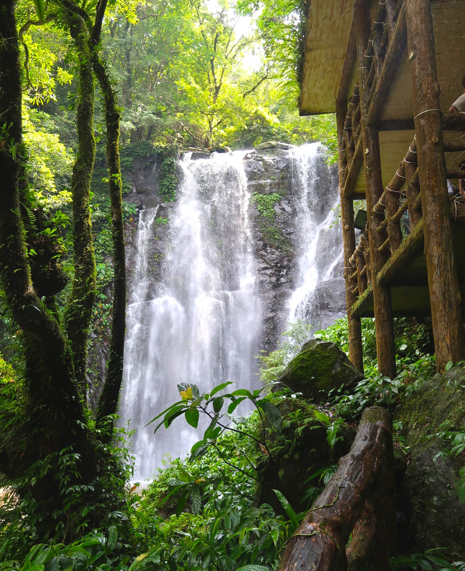 圖片來源/滿月圓國家森林遊樂區-LINE熱點用戶