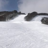 福島県　２０代　３０代　スノーボード部