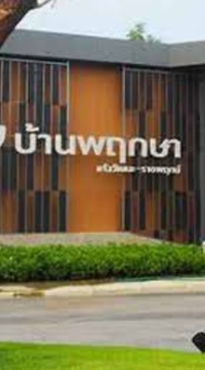 บ้านพฤกษา 110 (พนาลี 47)