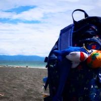 旅の写真と情報交換(๑╹ω╹๑ )