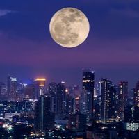 漢方こつめ先生　新月🌚満月🌕プチ断食を一緒に1年間続けようの会