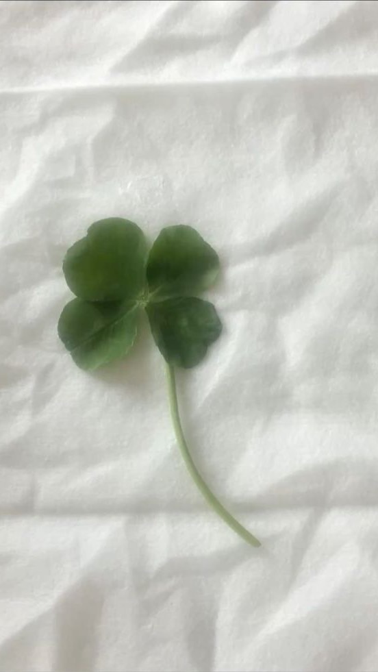みんなで垢抜けちゃおっ‼️☘️💗