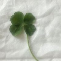 みんなで垢抜けちゃおっ‼️☘️💗