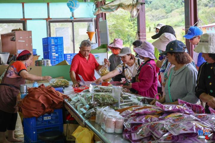 2023赤柯山金針花海必拍推薦8大景點 @Ya!Travel 野旅行新聞網