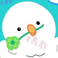 鳥教🕊️