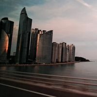 Carol老師財商課程群