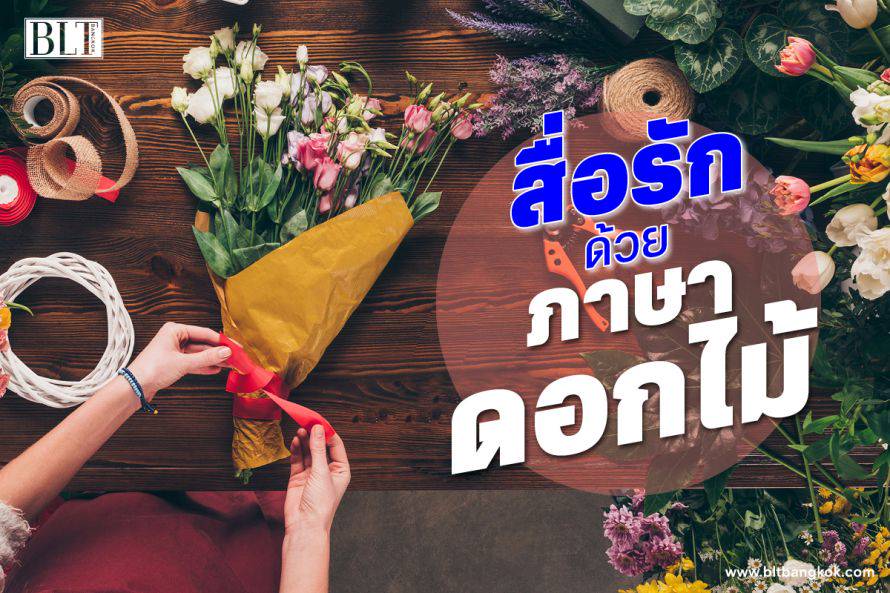 6 ดอกไม้ฟอร์มโรแมนติก ความหมายดี ควรค่าแก่การสื่อรักในวัน ...