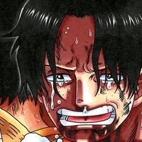 ワンピースカードゲーム(静岡中部～東部)