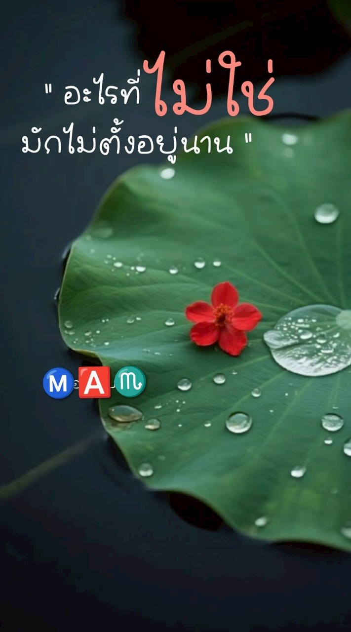 เพื่อนๆ@Ⓜ️🅰️♏ 40+ ฟังเพลง อกหัก