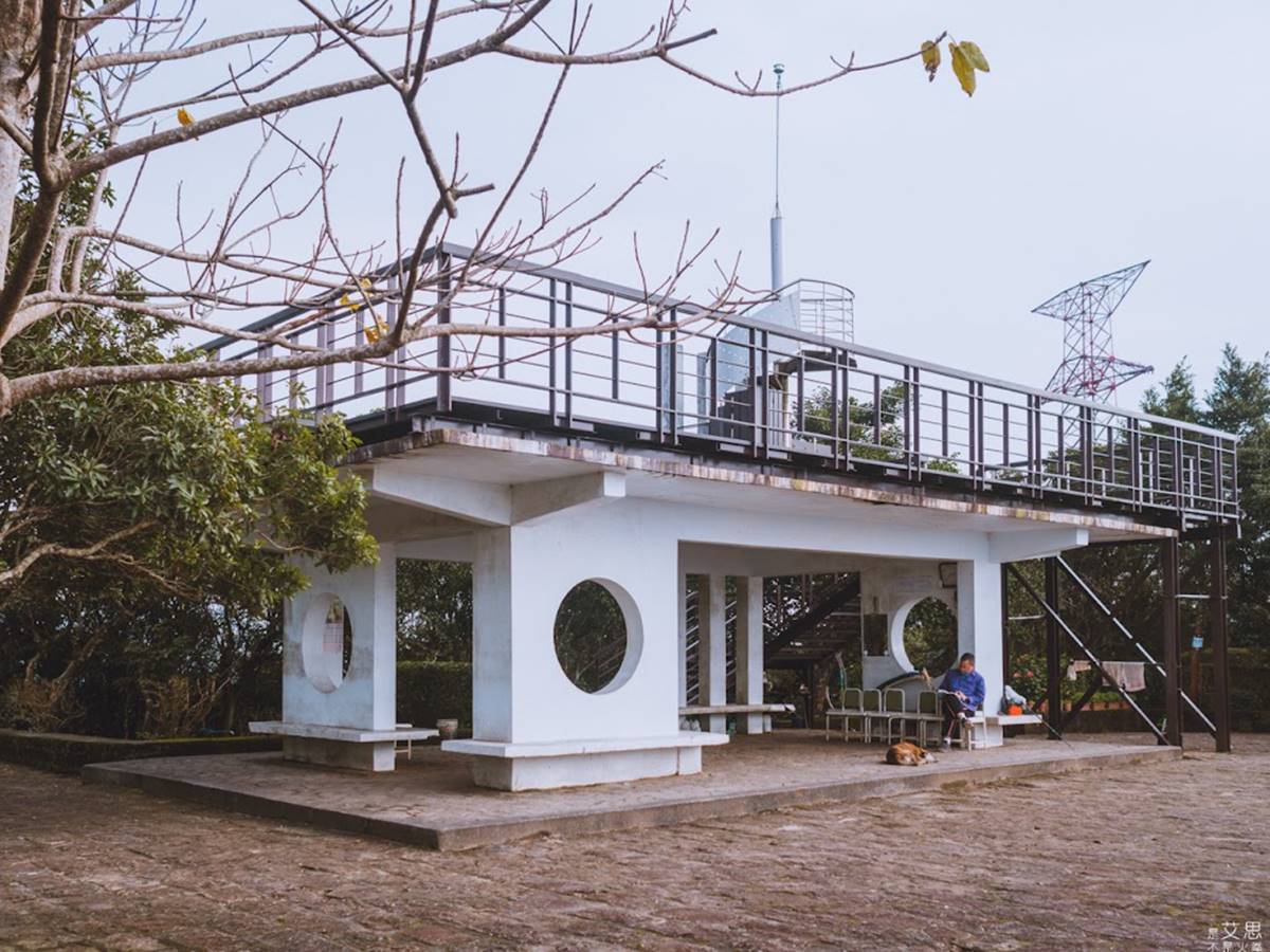 輕鬆好走不費力！內湖６條森林步道：80米「S型空中長廊」、紫色龍形吊橋