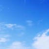南區西醫診所使用NS1回報