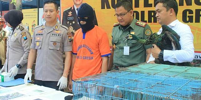 Jual Burung Dilindungi Tiga Pria Diamankan Polisi