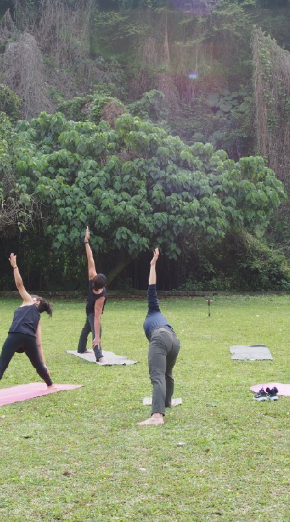 Shiba yoga 1