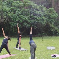 Shiba yoga 1