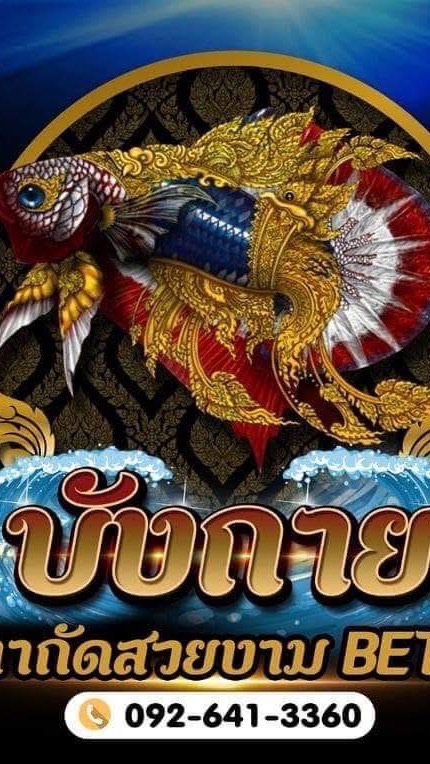 บังกายปลากัดสวยงาม