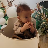 崴媽の秘密基地
