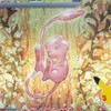 沖縄　ポケカ　交換・買取用