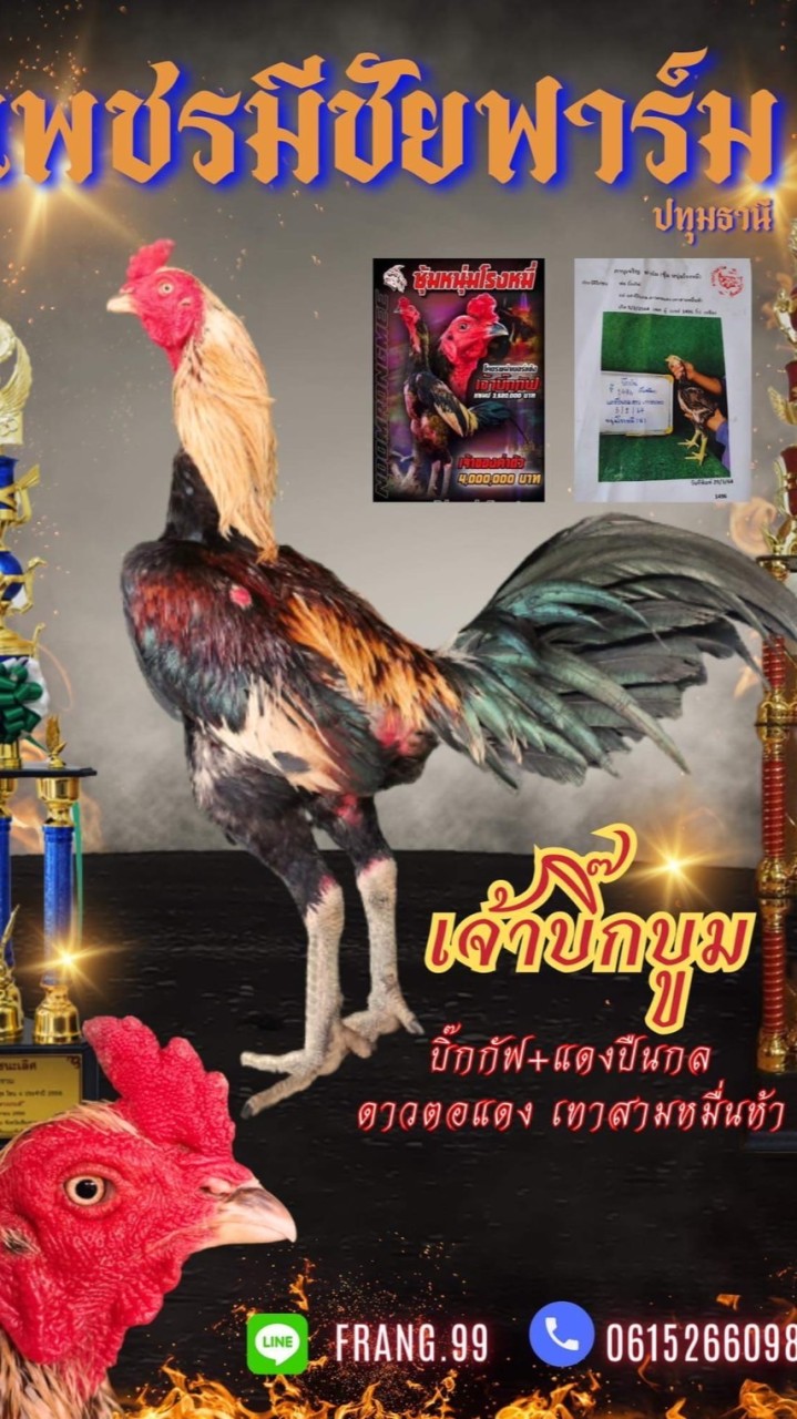 เพชรมีชัยฟาร์ม ปทุมธานี