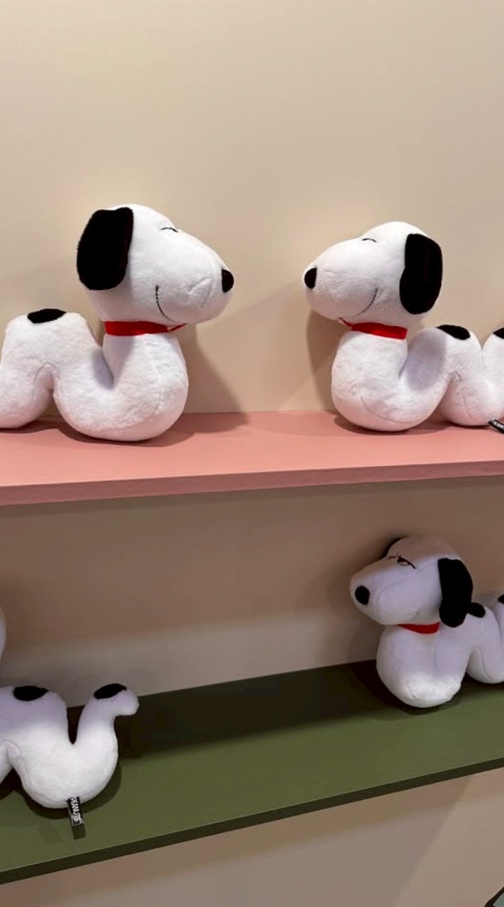 早安 可愛動物 搞笑分享
