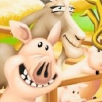 Hayday