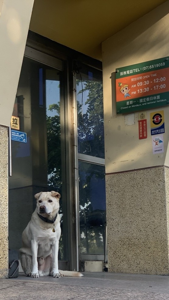 壽山認養後續追蹤回報