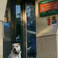 壽山認養後續追蹤回報