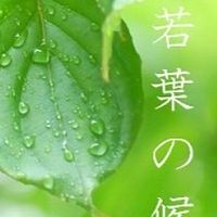 若葉駅あたり🎯東武東上線ユーザー