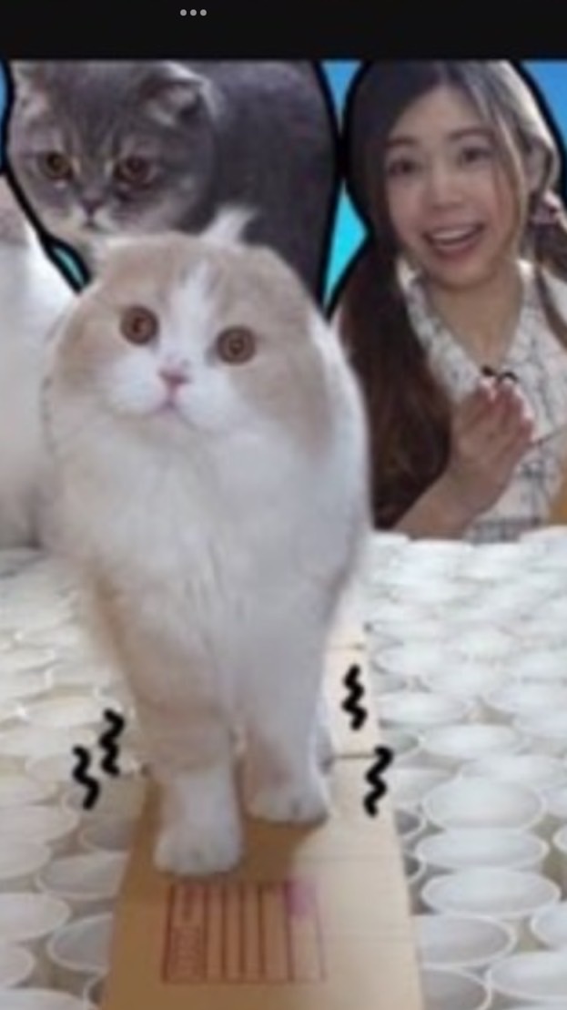 แป้ง