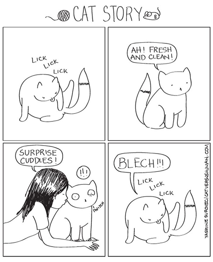 貓奴們必懂！20張與貓生活日常漫畫：半夜不睡覺，早上吃罐罐！