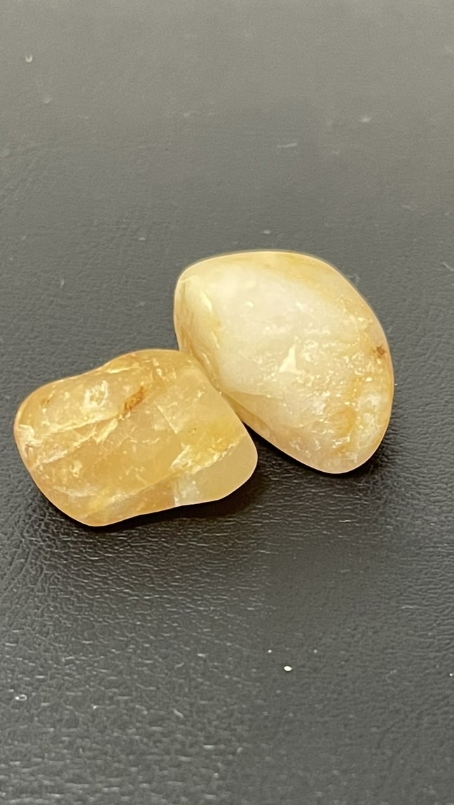高知鉱物採集組💎🔨🏞️