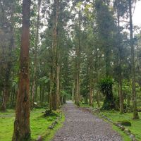 2022森林療癒活動