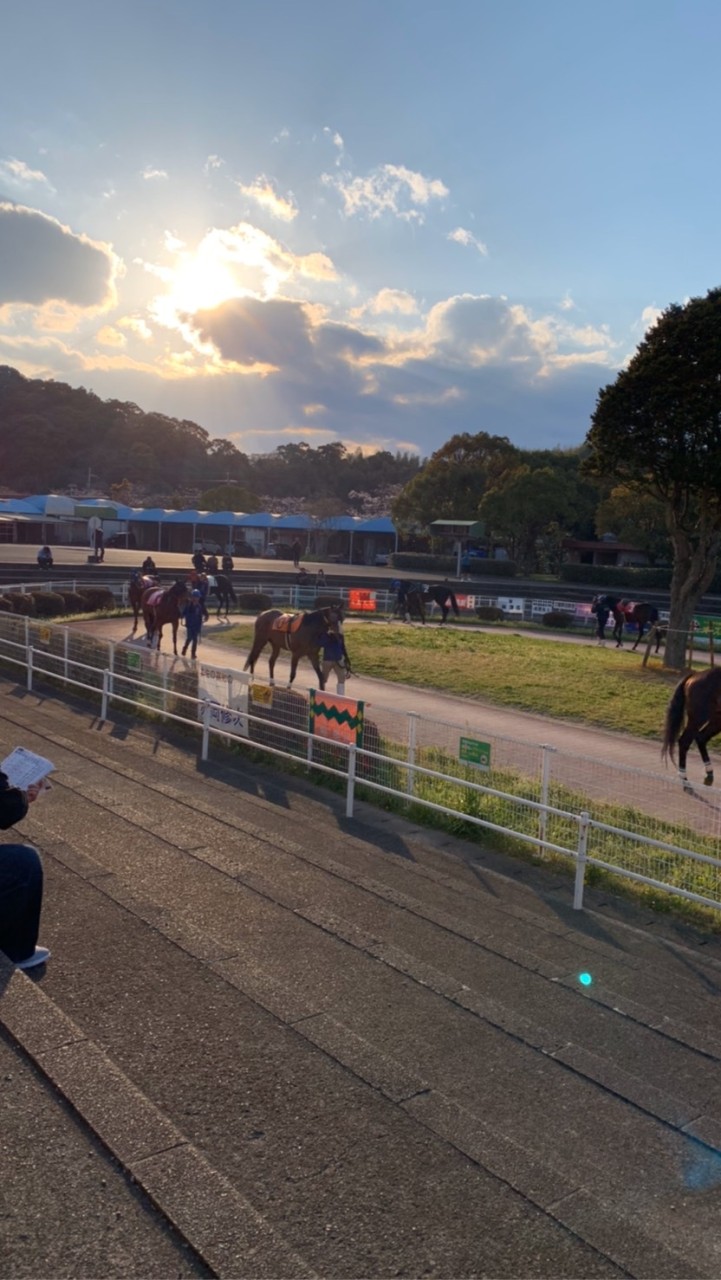 ⭐️夜さ恋ナイター開催中⭐️のオープンチャット