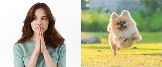 12 Arti Mimpi Dikejar Anjing Membawa Kebahagiaan Hingga Kesedihan Brilio Net Line Today