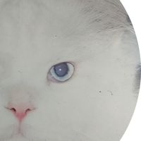 冷氣清潔，直立式洗衣機清洗