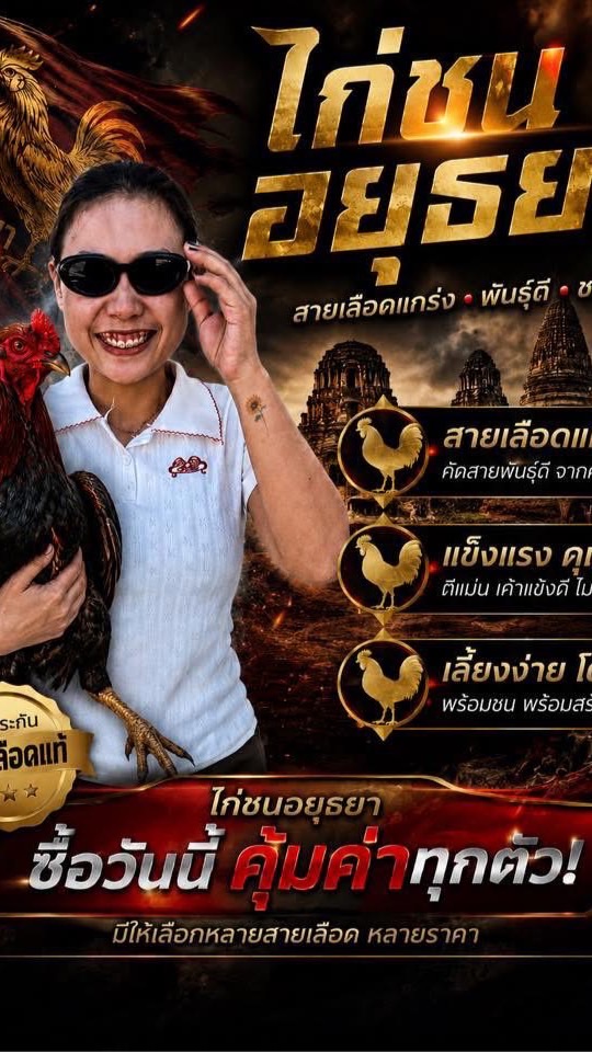 ซื้อขายไก่ชนที่จริงใจ