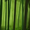 みんなの雑談部屋