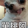 花夢