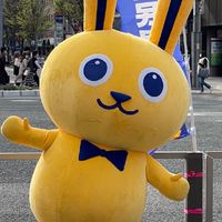江戸川区民とその近隣区民の国民民主党ファンの集い