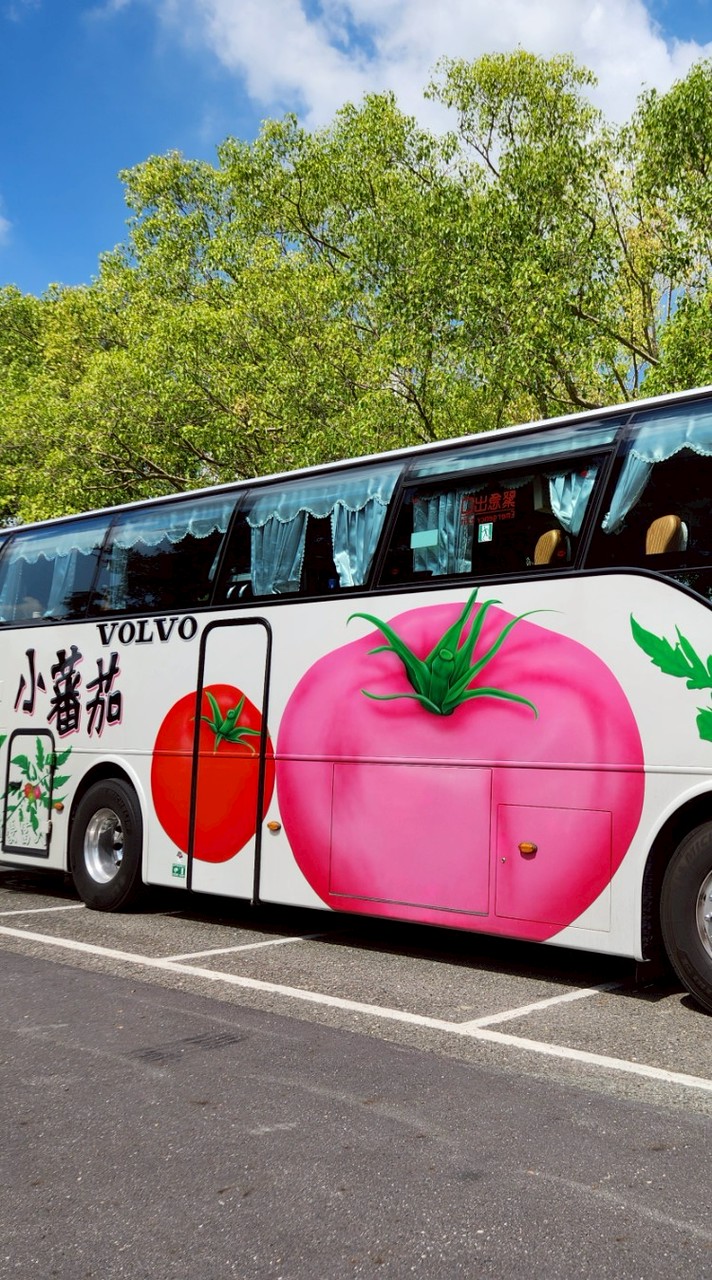 小蕃茄旅遊