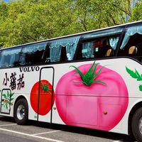 小蕃茄旅遊
