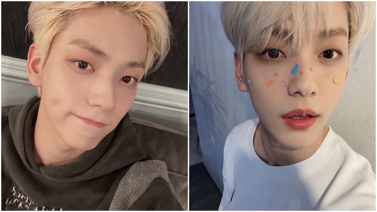 代表各種動物相的韓國愛豆們！盤點六種熱門動物系長相，貓咪相人氣超高！