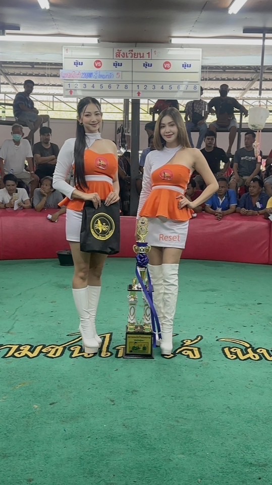เวทีโจ้เนินทราย  ไก่อ่อน 2-3 ยก🐥🐥